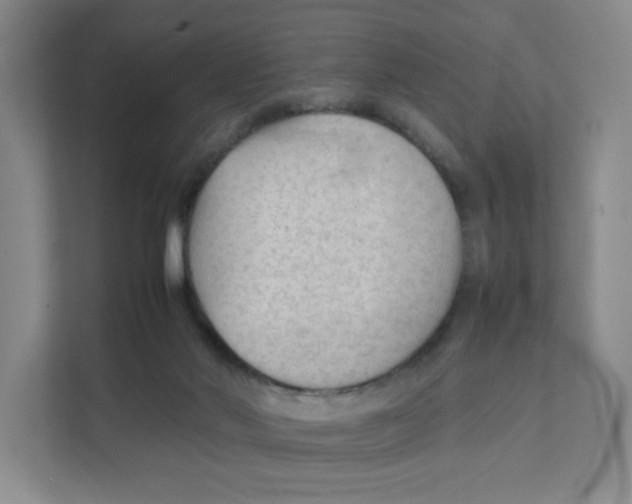 X0000111350022200907311001