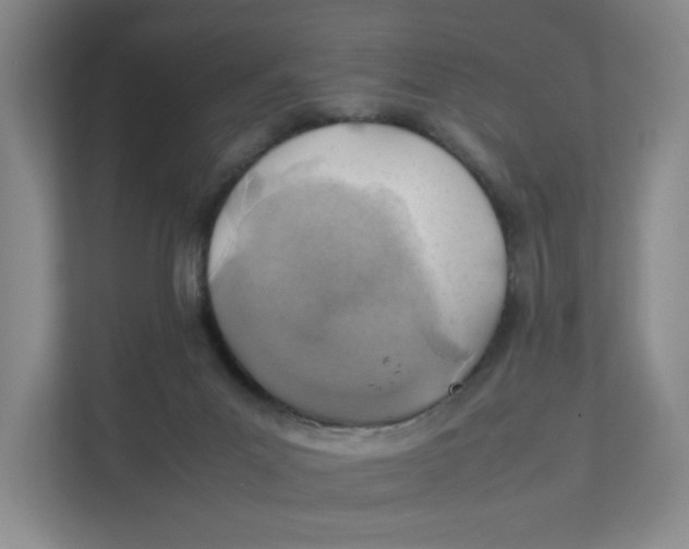 X0000111350023200907311001