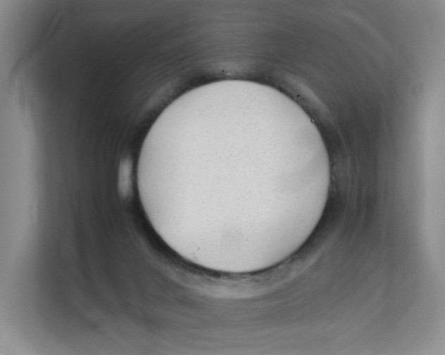 X0000111350024200907311001