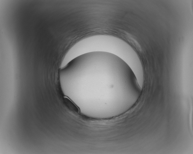 X0000111350025200907311001