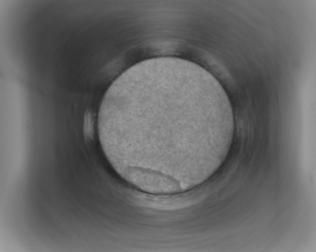 X0000111350026200907311001