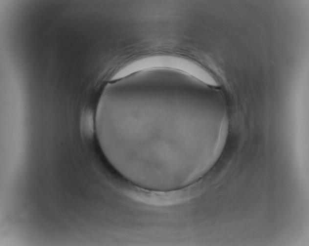 X0000111350027200907311001