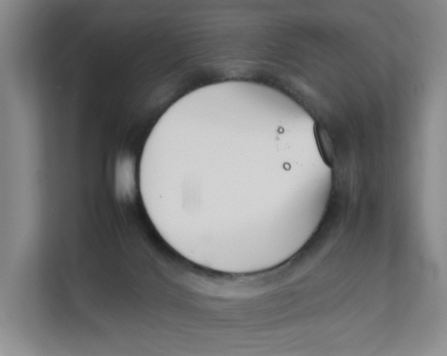 X0000111350028200907311001