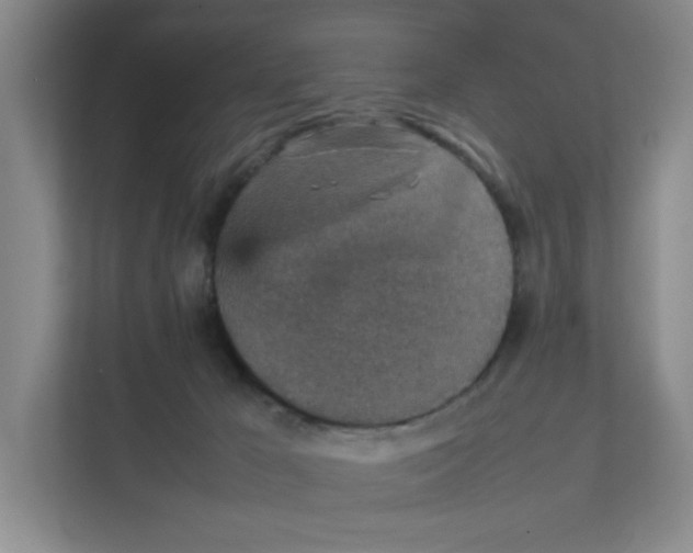 X0000111350029200907311001