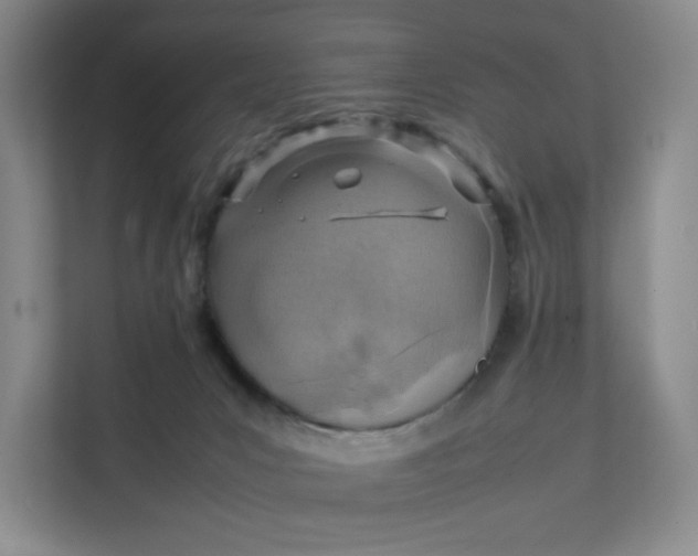 X0000111350031200907311001