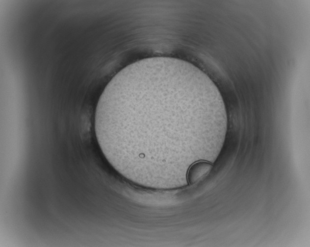 X0000111350032200907311001