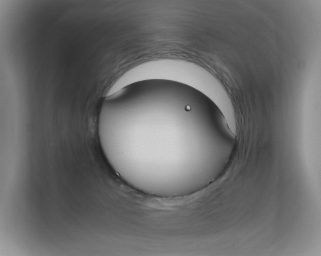 X0000111350033200907311001