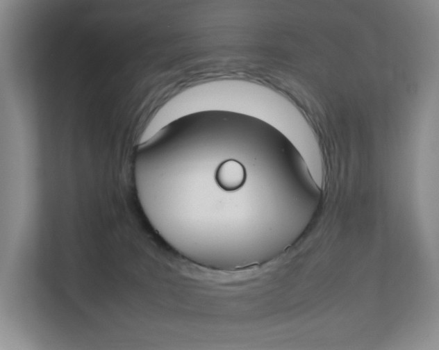 X0000111350035200907311001