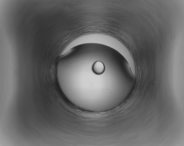 X0000111350036200907311001