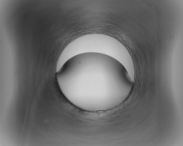 X0000111350037200907311001