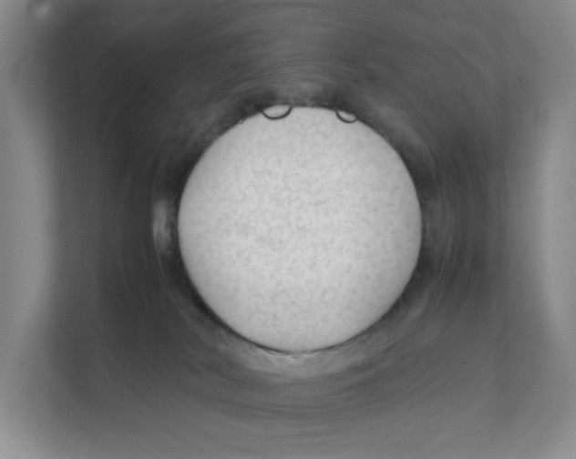 X0000111350038200907311001