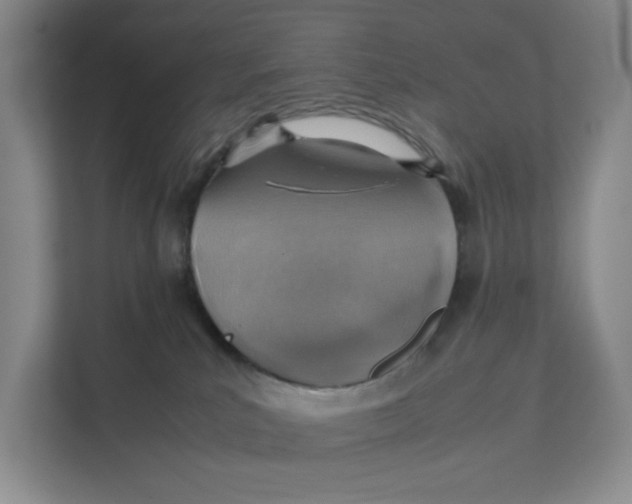 X0000111350039200907311001