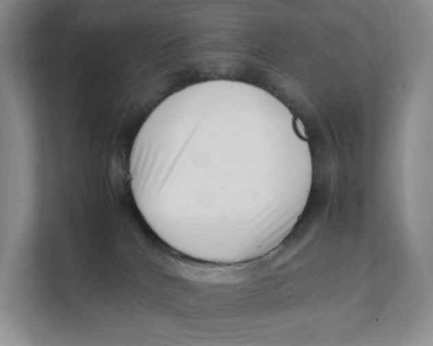 X0000111350040200907311001