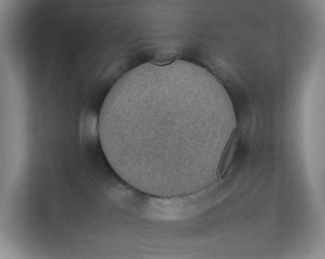 X0000111350041200907311001