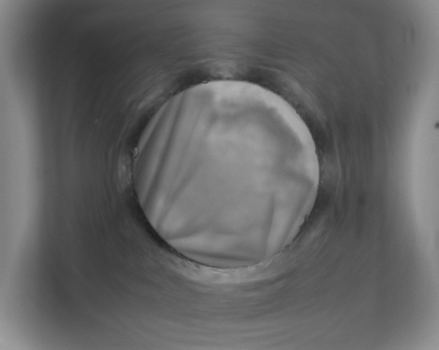 X0000111350043200907311001