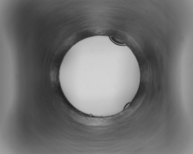 X0000111350044200907311001