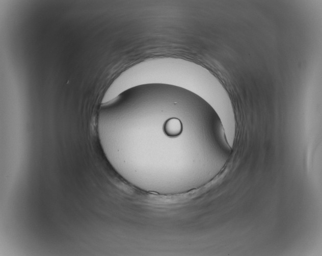 X0000111350045200907311001