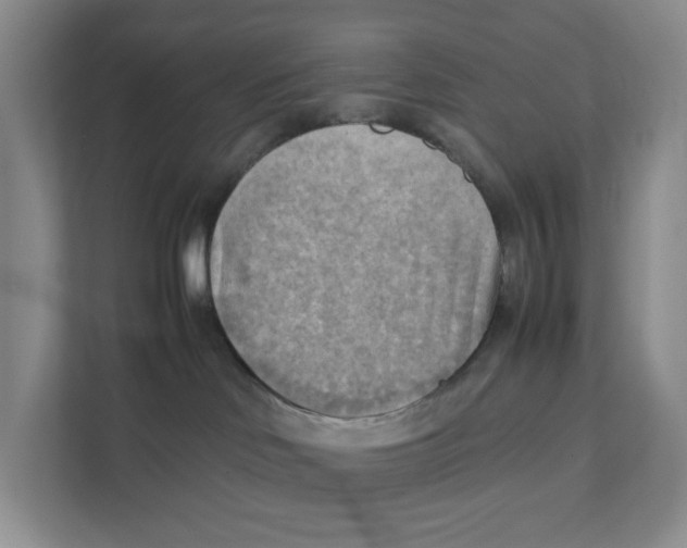 X0000111350046200907311001