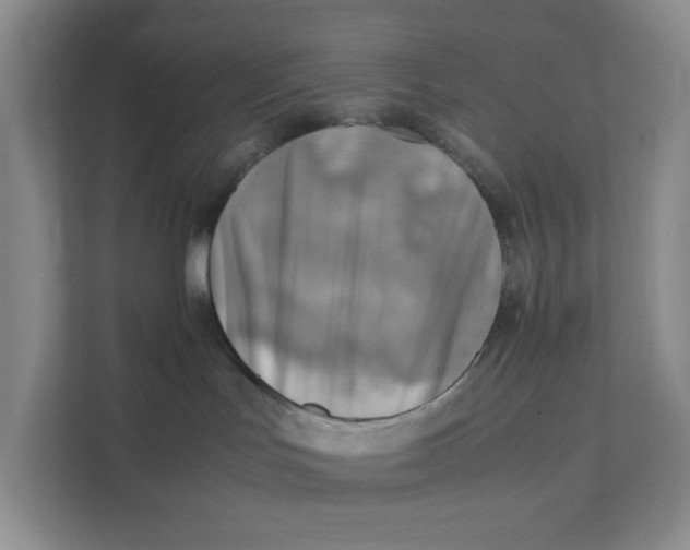 X0000111350047200907311001