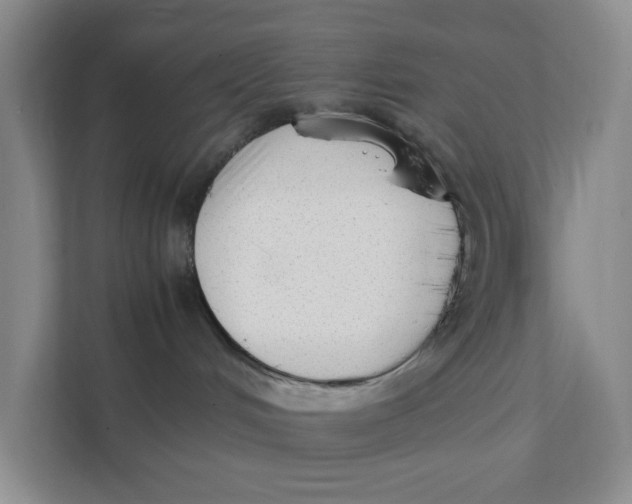 X0000111350048200907311001