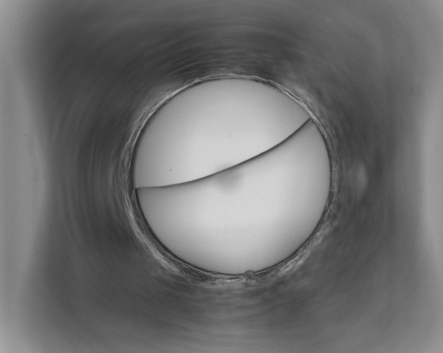 X0000111350049200907311000