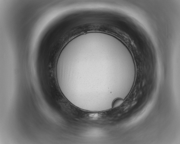 X0000111350050200907311000