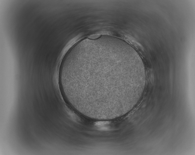 X0000111350051200907311000