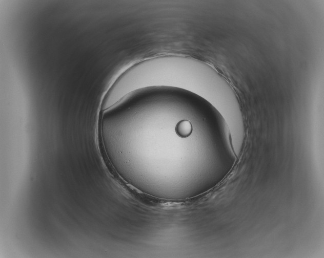 X0000111350052200907311000