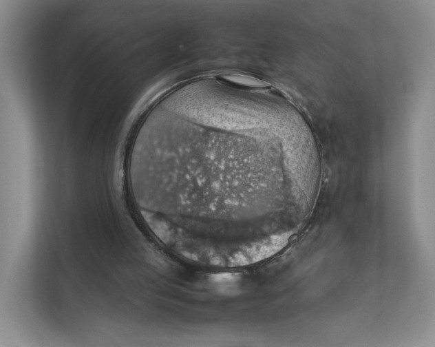 X0000111350053200907311000