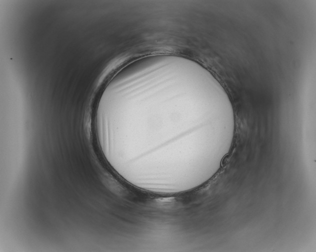 X0000111350054200907311000