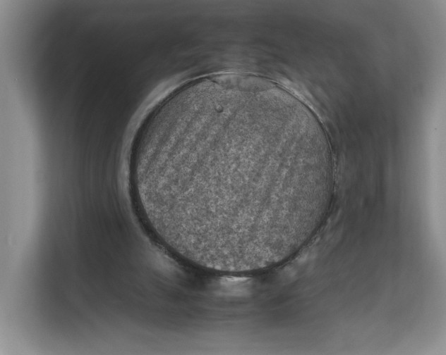 X0000111350055200907311000