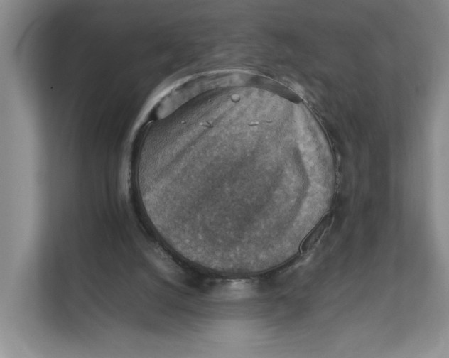 X0000111350056200907311000