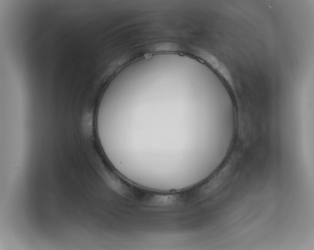 X0000111350057200907311000