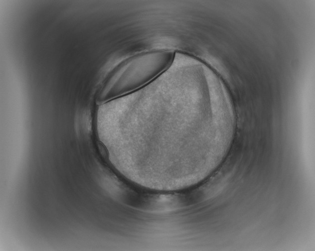 X0000111350060200907311000