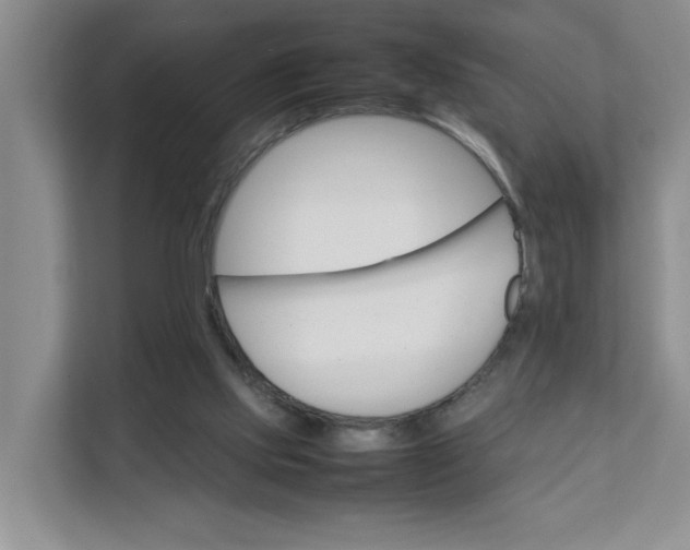 X0000111350061200907311000