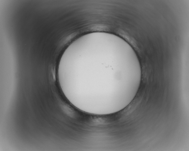 X0000111350062200907311000