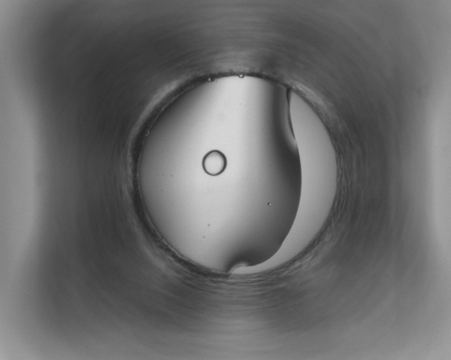 X0000111350064200907311000