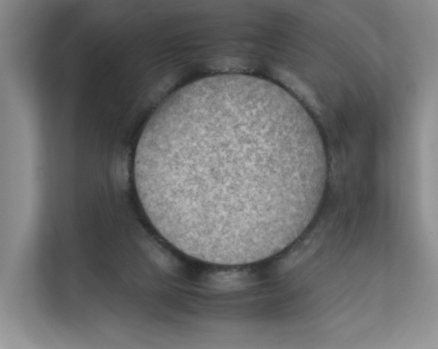 X0000111350065200907311000