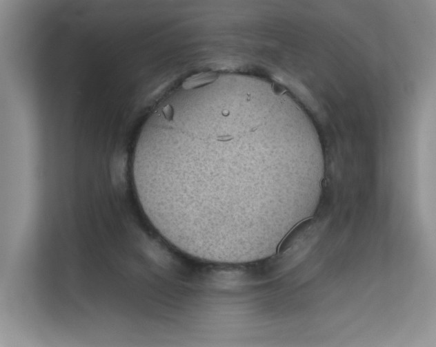 X0000111350066200907311000