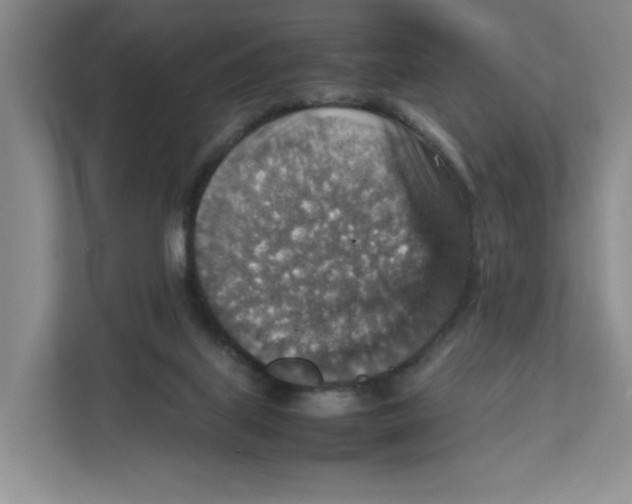 X0000111350067200907311000