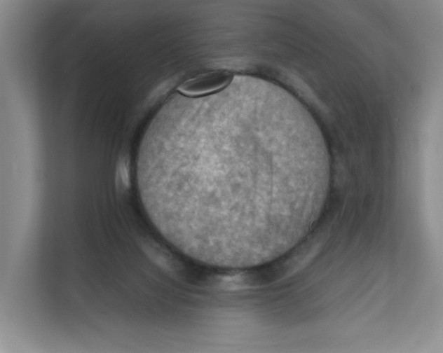 X0000111350068200907311001