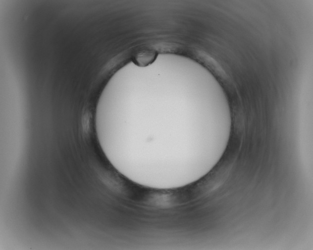 X0000111350071200907311001