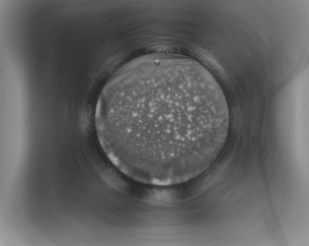 X0000111350073200907311001