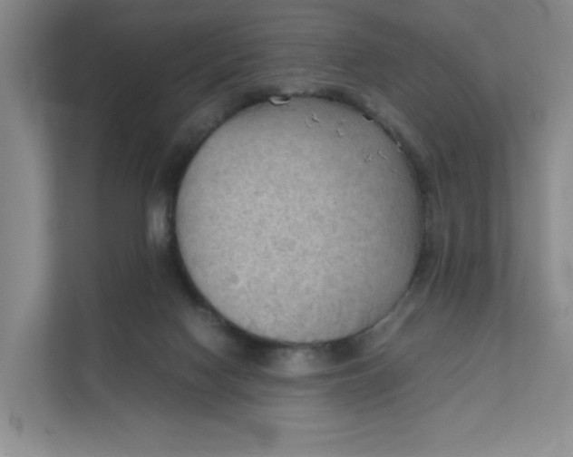 X0000111350074200907311001