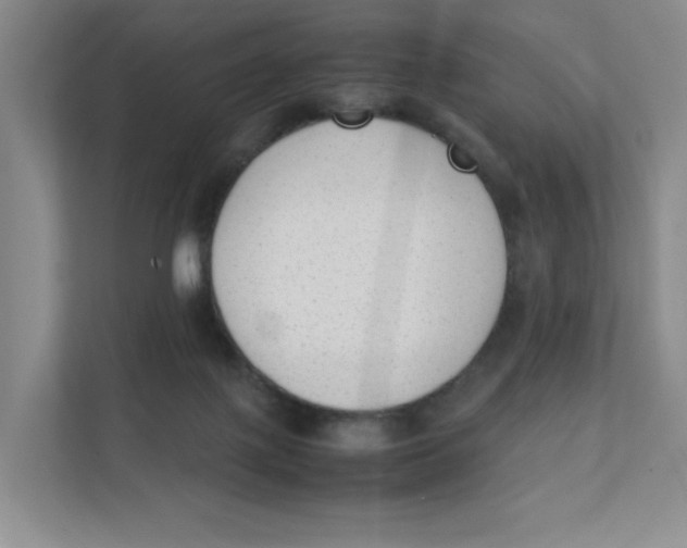 X0000111350075200907311001