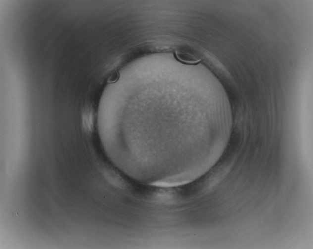 X0000111350076200907311001