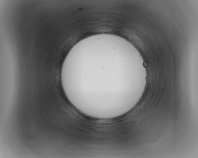 X0000111350077200907311001