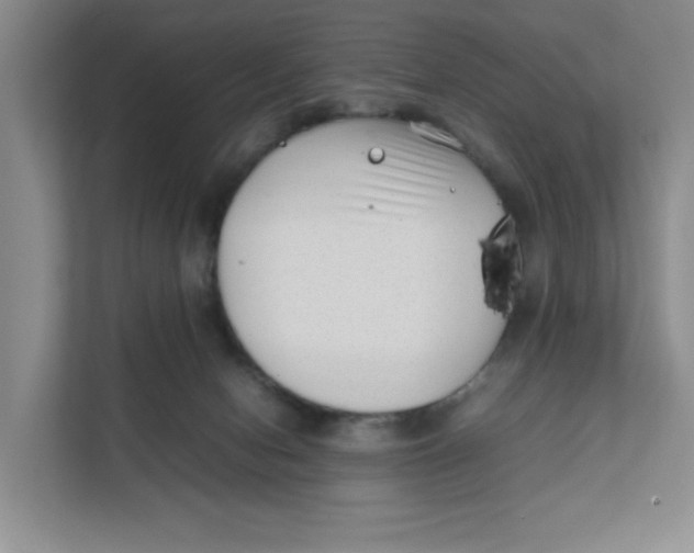 X0000111350078200907311001