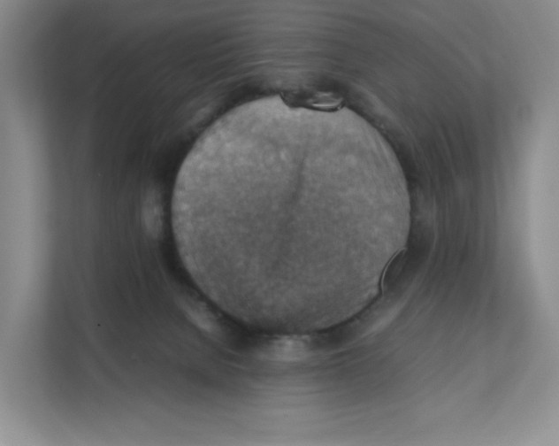 X0000111350080200907311001