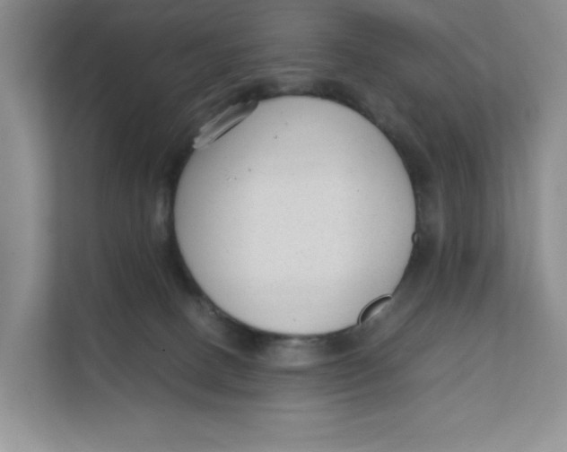 X0000111350082200907311001